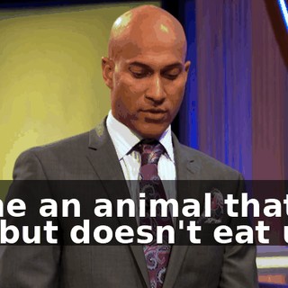 3cf66f72-e158-4bb0-8d6d-81f209ef641d.gif