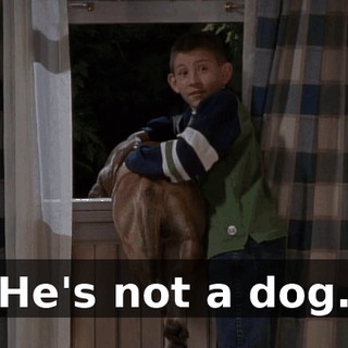 He's not a dog.