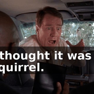 I thought it was a squirrel.