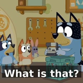 What is that?