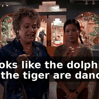 It looks like the dolphin and the tiger are dancing.