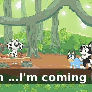 I'm …I'm coming in!