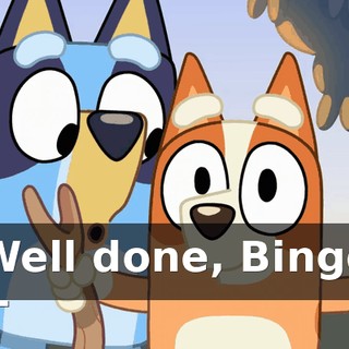 Well done, Bingo --