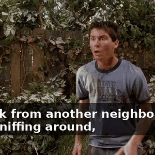 A pack from another neighborhood was sniffing around,