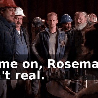 Come on, Rosemarie ain't real.