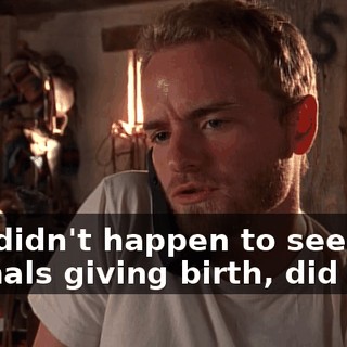 you didn't happen to see any animals giving birth, did you?