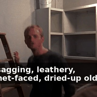 you sagging, leathery, hatchet-faced, dried-up old hag.