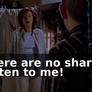 There are no shares! Listen to me!