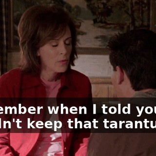 Remember when I told you you couldn't keep that tarantula?