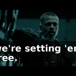 we're setting 'em free.