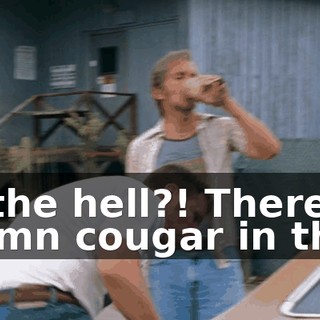 3f3f681b-0085-4523-ad38-8eebf28732a3.gif