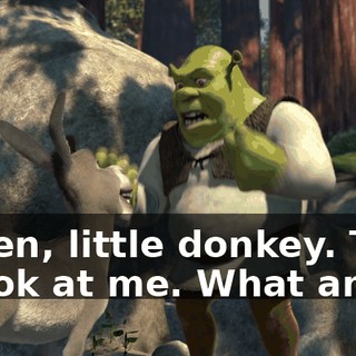 Listen, little donkey. Take a look at me. What am I?