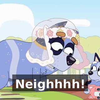 Neighhhh!