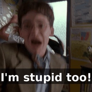 I'm stupid too!