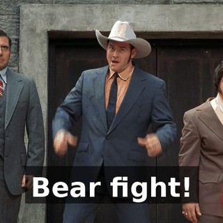 Bear fight!