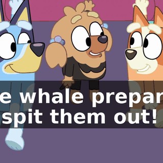 40178bc4-609d-4e5c-a4fe-64f3540fc1da.gif