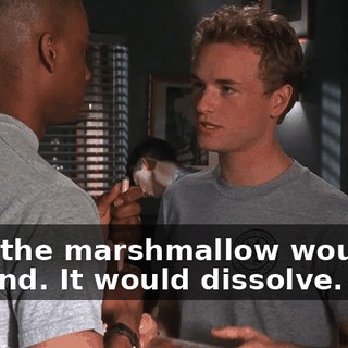 See, the marshmallow wouldn't expand. It would dissolve.