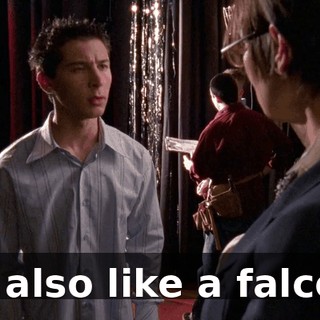 I'd also like a falcon.