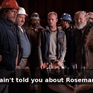 - Who? - They ain't told you about Rosemarie, eh?
