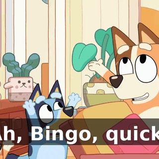 Ah, Bingo, quick!