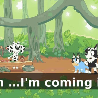 I'm …I'm coming in!