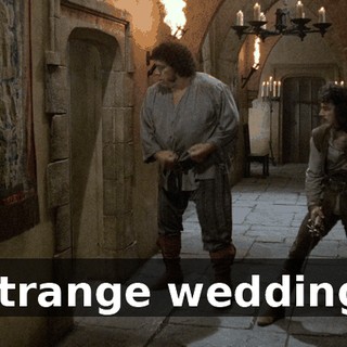 40d72b20-2b18-44d3-9217-a9ba27647e64.gif