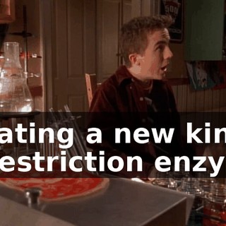 Creating a new kind of restriction enzyme.