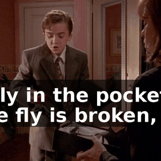 Jelly in the pockets, the fly is broken,