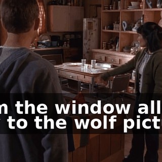 from the window all the way to the wolf picture.