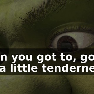 Then you got to, got to try a little tenderness.