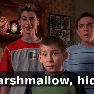 Marshmallow, hide.