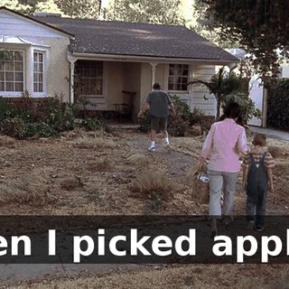 Then I picked apples.