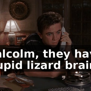 Malcolm, they have stupid lizard brains.