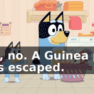 Oh, no. A Guinea pig has escaped.