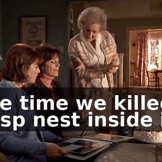 One time we killed a wasp nest inside it.