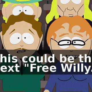 This could be the next "Free Willy."