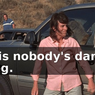 it is nobody's damn dog.