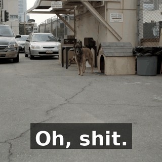 430e135c-3b40-450a-8298-f6f66fc3ac43.gif