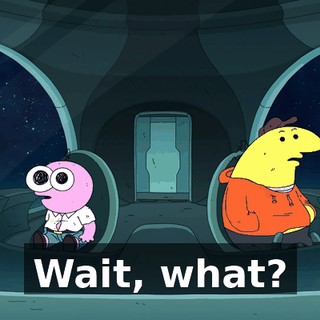 Wait, what?