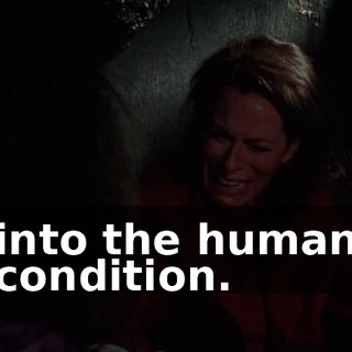 into the human condition.