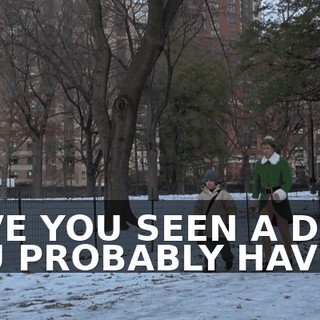 HAVE YOU SEEN A DOG? YOU PROBABLY HAVE.