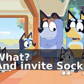 -What? -And invite Socks!