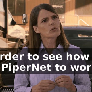 in order to see how you got PiperNet to work,