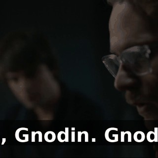 No, Gnodin. Gnodin.