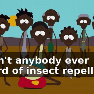 Hasn't anybody ever heard of insect repellent?