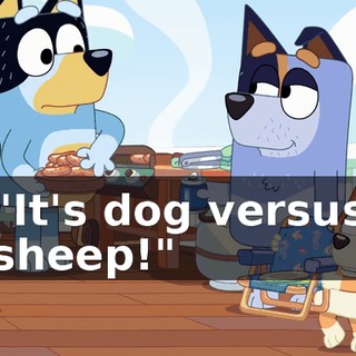 "It's dog versus sheep!"