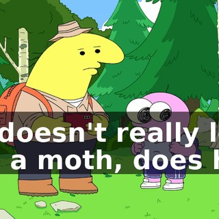 He doesn't really look like a moth, does he?