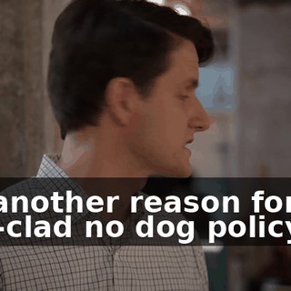 It's another reason for our iron-clad no dog policy.