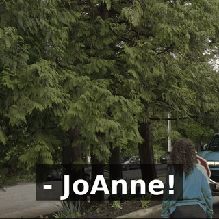44080cfa-c69b-4a0b-a213-436f32c859e8.gif