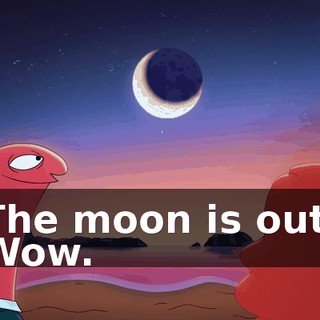 The moon is out. Wow.
